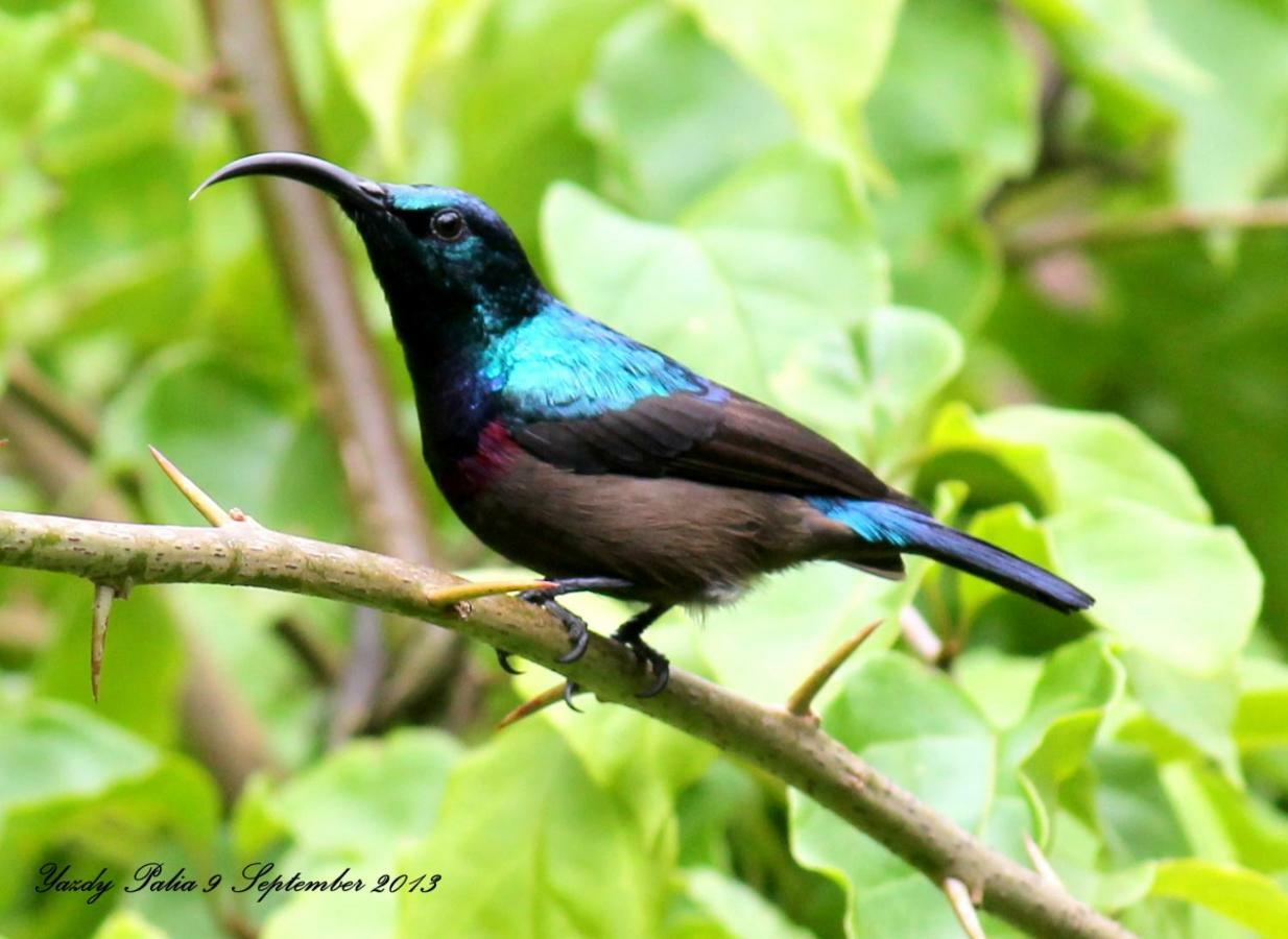 Woodside Homestay Wayanad Batheri Esterno foto